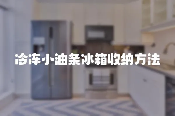 冷凍小油條冰箱收納方法