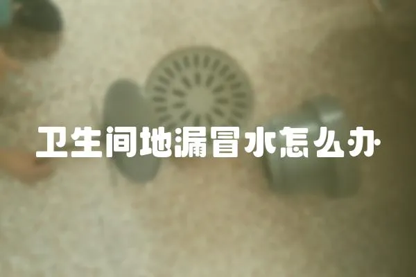 衛(wèi)生間地漏冒水怎么辦