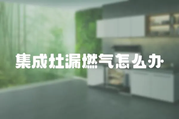 集成灶漏燃?xì)庠趺崔k