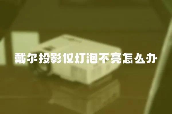 戴爾投影儀燈泡不亮怎么辦