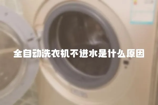 全自动洗衣机不进水是什么原因