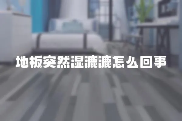 地板突然濕漉漉怎么回事