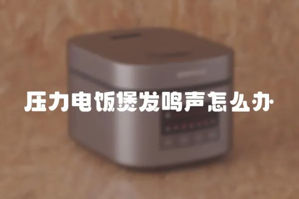 壓力電飯煲發鳴聲怎么辦