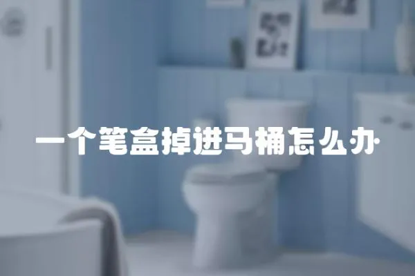 一個(gè)筆盒掉進(jìn)馬桶怎么辦
