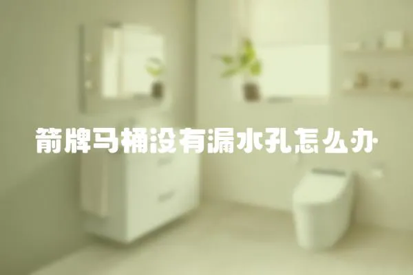 箭牌馬桶沒有漏水孔怎么辦