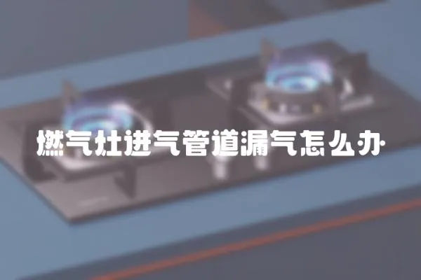 燃氣灶進氣管道漏氣怎么辦