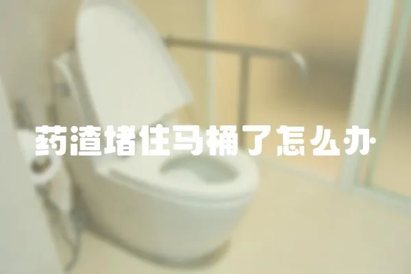藥渣堵住馬桶了怎么辦