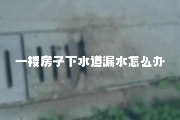 一樓房子下水道漏水怎么辦