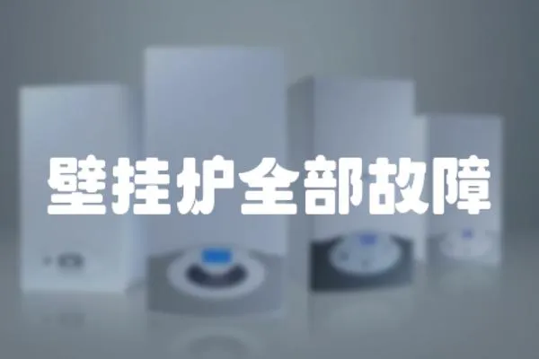 壁掛爐全部故障