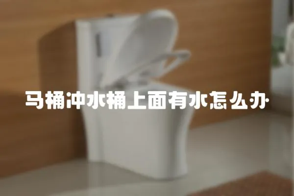 馬桶沖水桶上面有水怎么辦