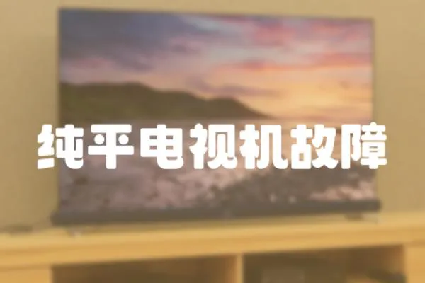 純平電視機故障
