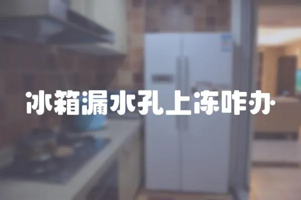 冰箱漏水孔上凍咋辦