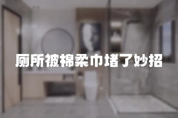 廁所被棉柔巾堵了妙招