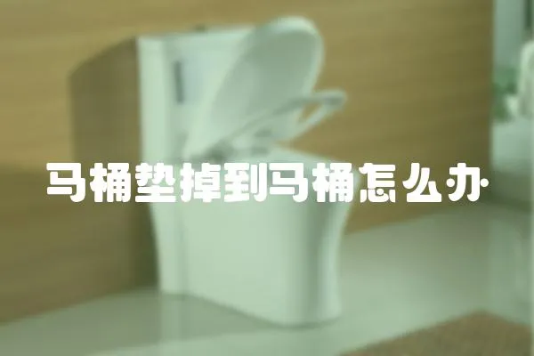 馬桶墊掉到馬桶怎么辦
