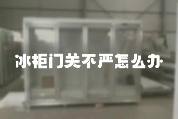 冰柜門關不嚴怎么辦