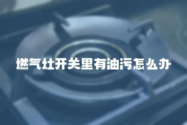 燃氣灶開關里有油污怎么辦