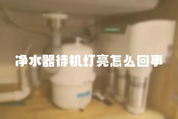 凈水器待機燈亮怎么回事