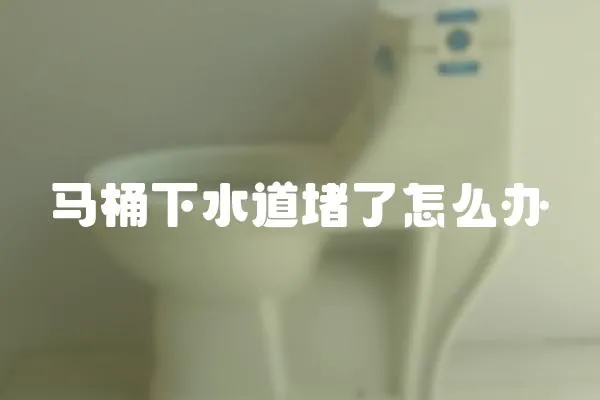 馬桶下水道堵了怎么辦