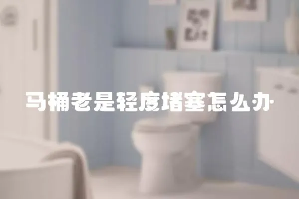 馬桶老是輕度堵塞怎么辦