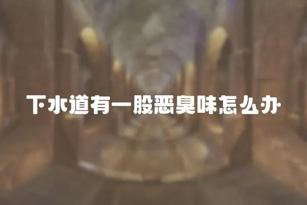 下水道有一股惡臭味怎么辦