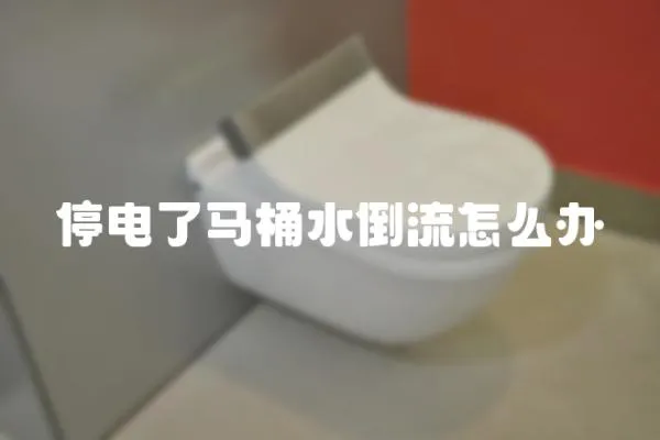 停電了馬桶水倒流怎么辦