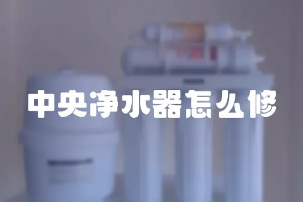 中央凈水器怎么修
