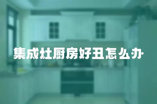 集成灶廚房好丑怎么辦