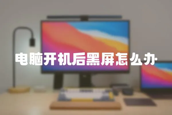 電腦開機(jī)后黑屏怎么辦