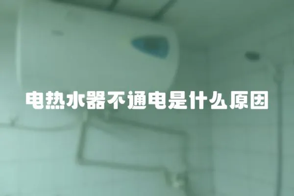 電熱水器不通電是什么原因