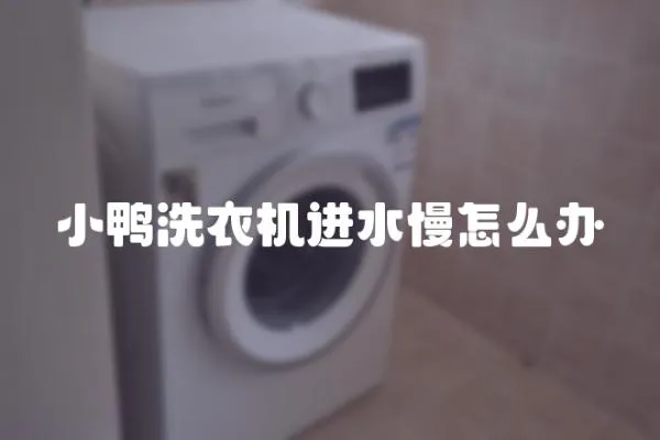 小鴨洗衣機進水慢怎么辦