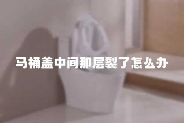 馬桶蓋中間那層裂了怎么辦