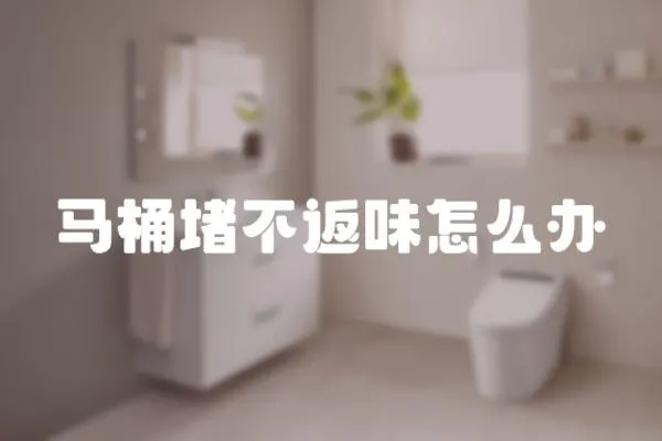 馬桶堵不返味怎么辦