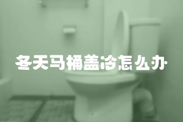 冬天馬桶蓋冷怎么辦