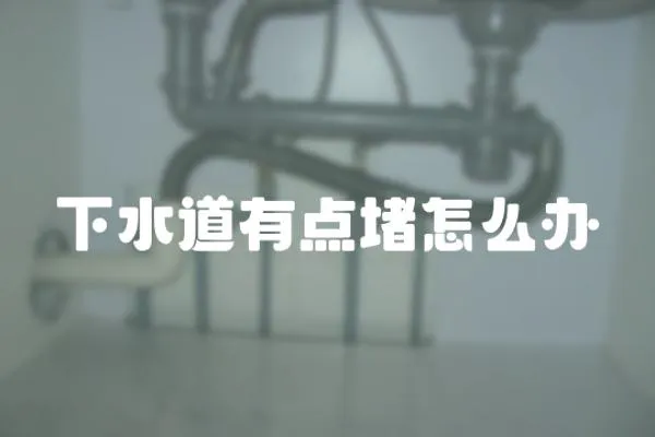 下水道有點堵怎么辦