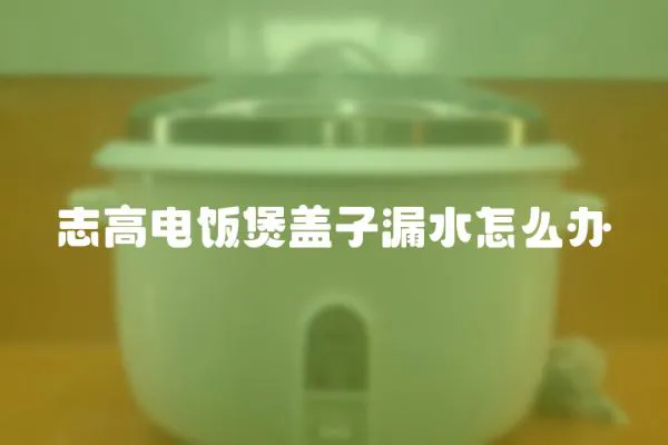 志高電飯煲蓋子漏水怎么辦