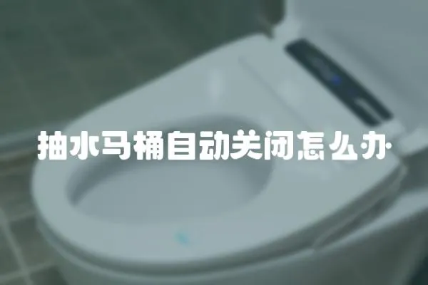 抽水馬桶自動關閉怎么辦
