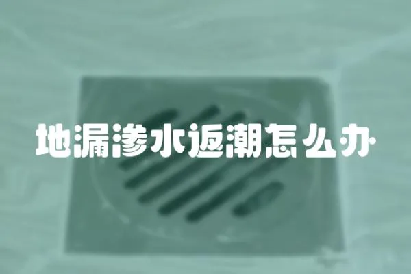 地漏滲水返潮怎么辦