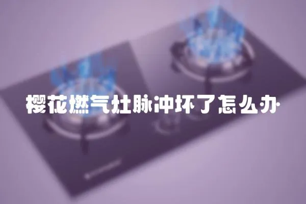 櫻花燃?xì)庠蠲}沖壞了怎么辦