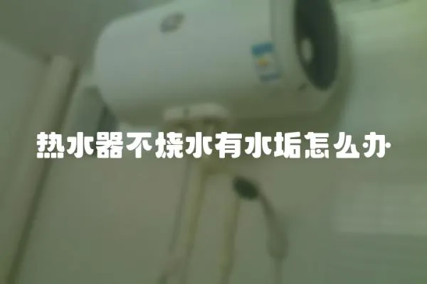 熱水器不燒水有水垢怎么辦