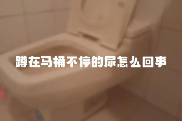 蹲在馬桶不停的尿怎么回事