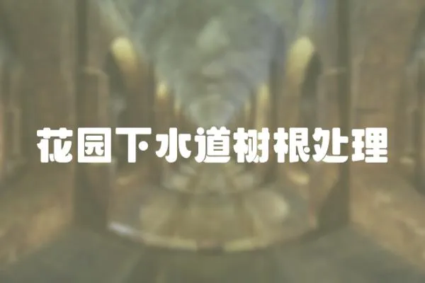 花園下水道樹根處理