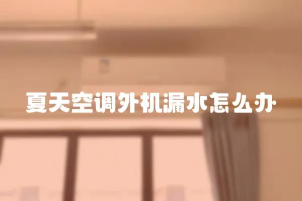 夏天空調(diào)外機(jī)漏水怎么辦