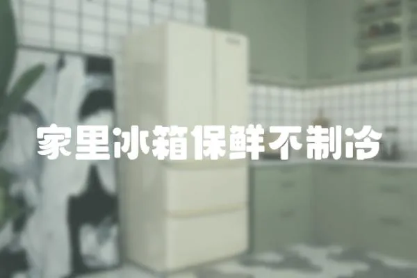 家里冰箱保鮮不制冷