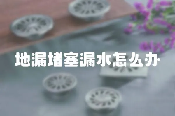 地漏堵塞漏水怎么辦
