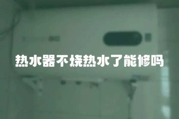 熱水器不燒熱水了能修嗎