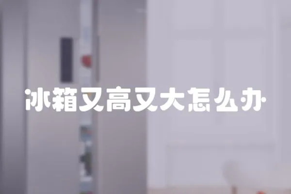 冰箱又高又大怎么辦