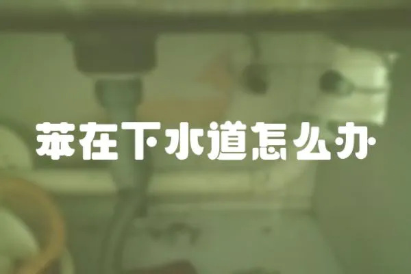 苯在下水道怎么辦