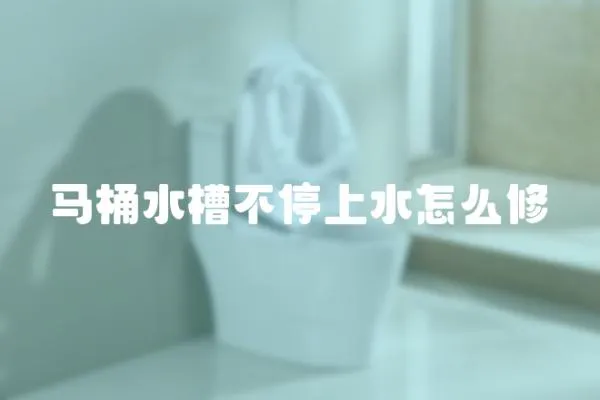 馬桶水槽不停上水怎么修