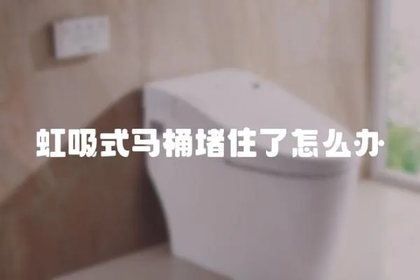 虹吸式馬桶堵住了怎么辦