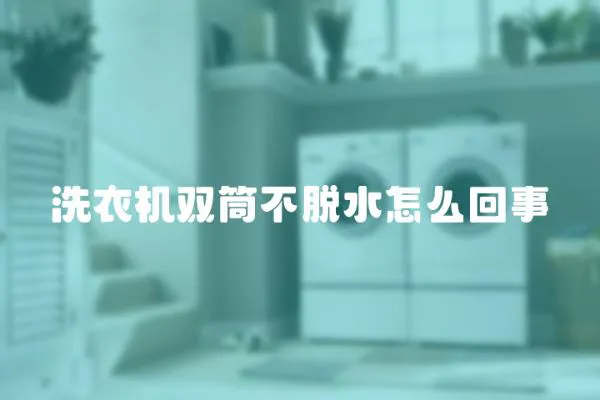 洗衣機雙筒不脫水怎么回事